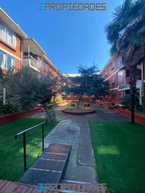Arriedo San Miguel, Gran Av. José Miguel Carrera