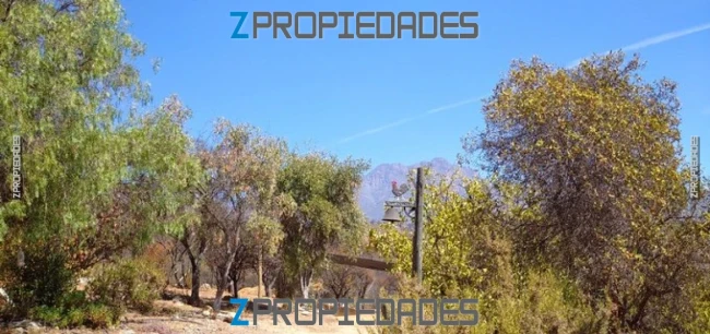 Foto 2 de la propiedad