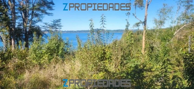 Foto 3 de la propiedad