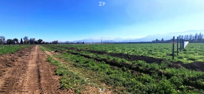 Parcela  loteo urbanizado compuesto solo por 16 lo