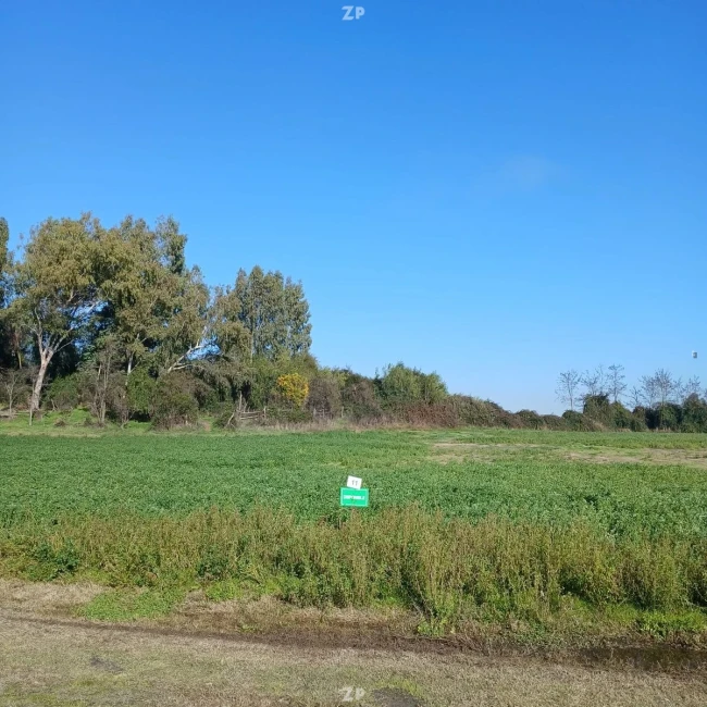 Parcela Exclusivas a Minutos del Lago Rapel