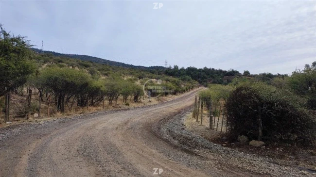 Parcela sector Chacayes 20,3 hectáreas
