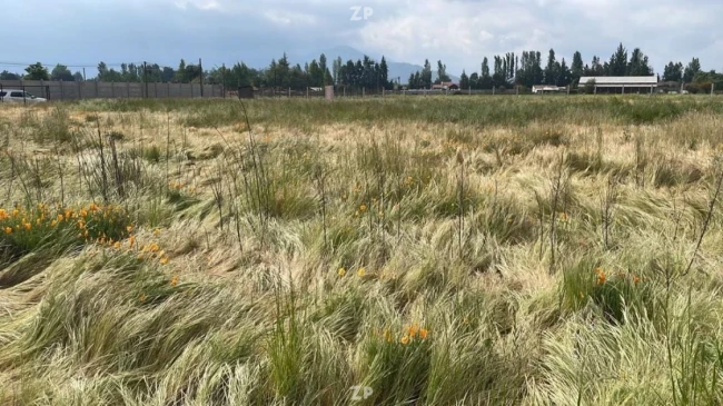 Parcela  OLIVAR ALTO, Perímetro cerrado
