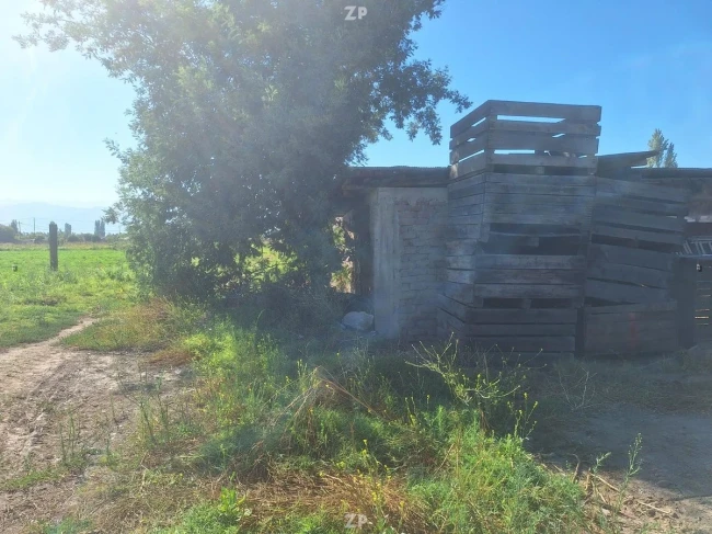 Venta de parcela la gonzalina, camino pavimentado
