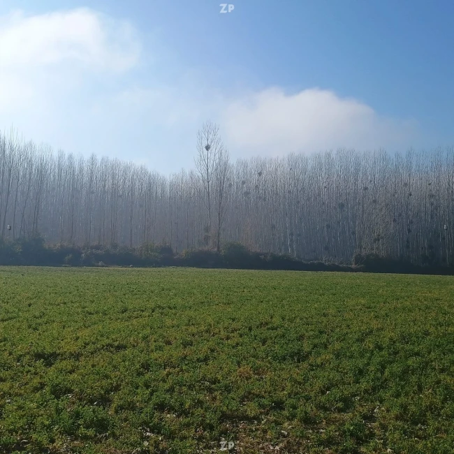 Hermosa parcela de agrado en Idahue