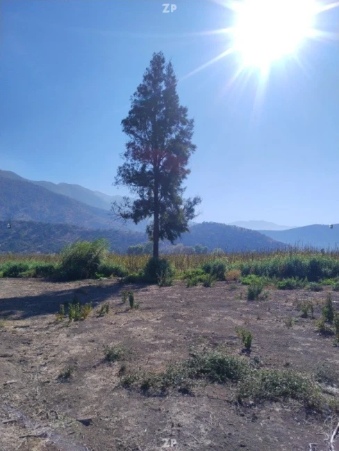 Parcela Punta de cortes amplio terreno de 5000m