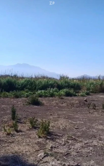 Parcela Punta de cortes amplio terreno de 5000m