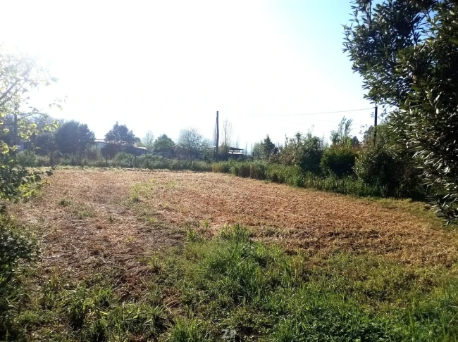  hermosa parcela de agrado en sector Tunca Abajo