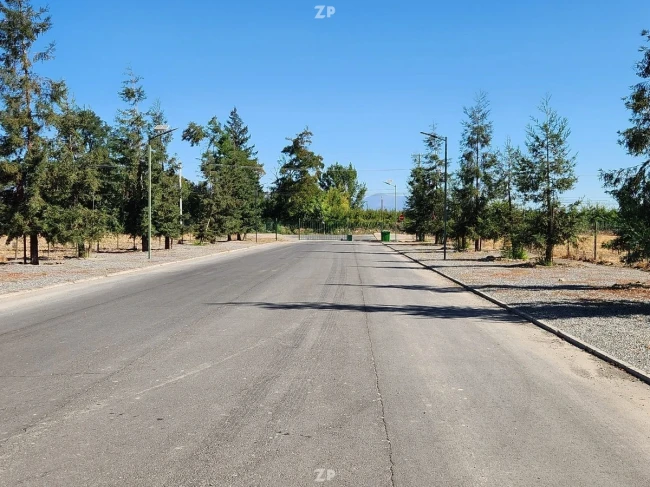 SE VENDE PARCELA EN FUNDO SANTA MARIA DEL OLIVAR
