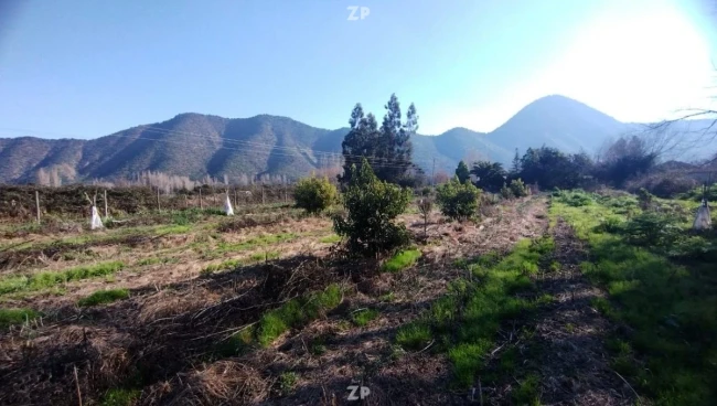Foto 2 de la propiedad