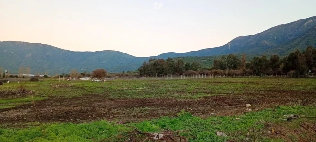 Foto 2 de la propiedad