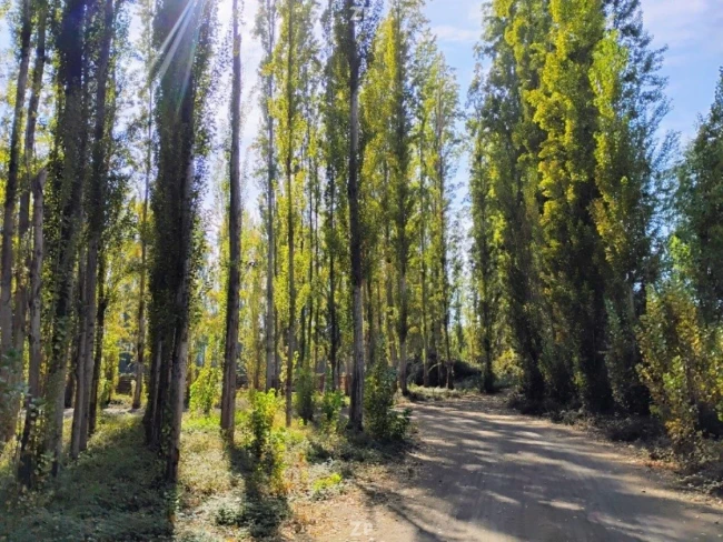 Parcela d 5000m², sector Tunca, Camino Los Reyes