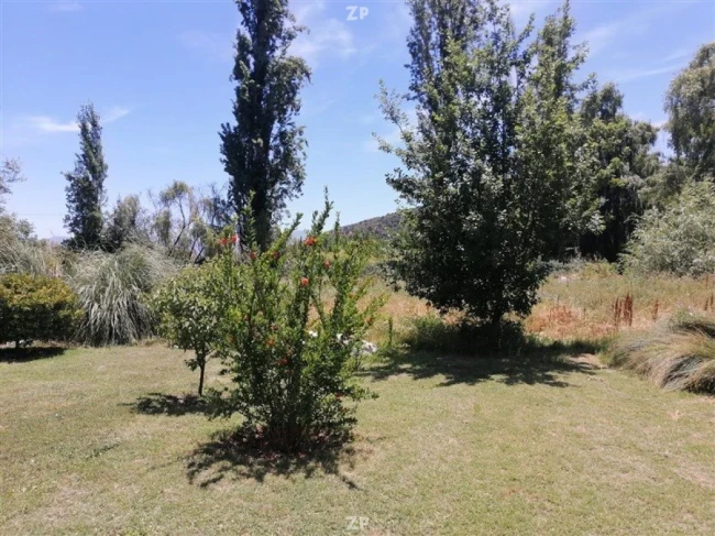Parcela con árboles frutales