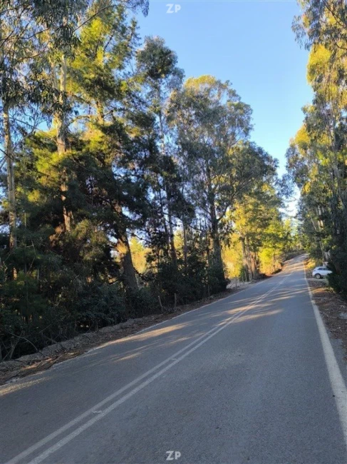parcelas en el sector de los Ciruelos, Pichilemu