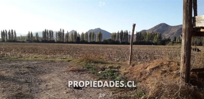 Foto 3 de la propiedad