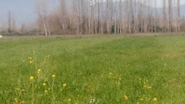 Foto 2 de la propiedad