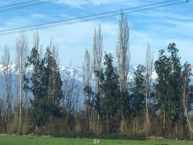 Foto 2 de la propiedad