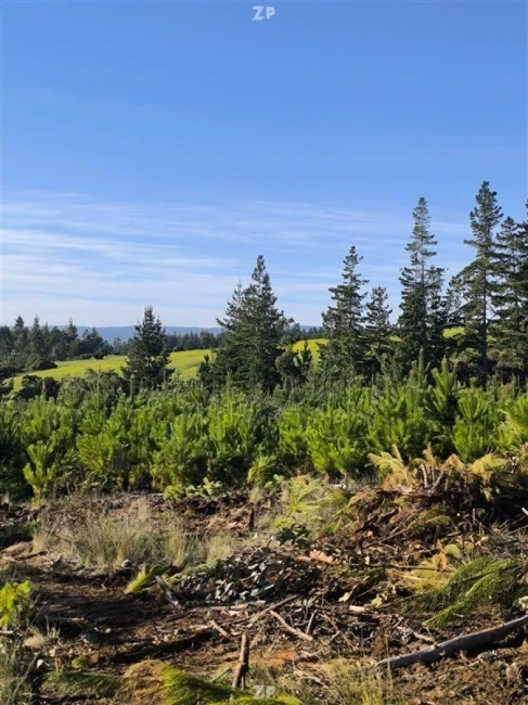  parcelas en el sector de los Ciruelos, Pichilemu