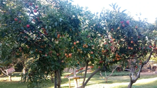  Parcela en venta sector tranquilo