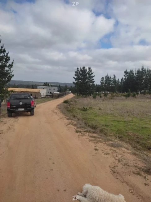 Hermosa parcela en venta en Pichilemu