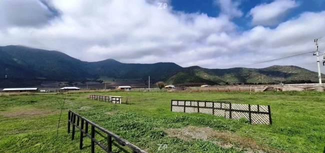 Parcela urbanizada consolidado en Requínoa