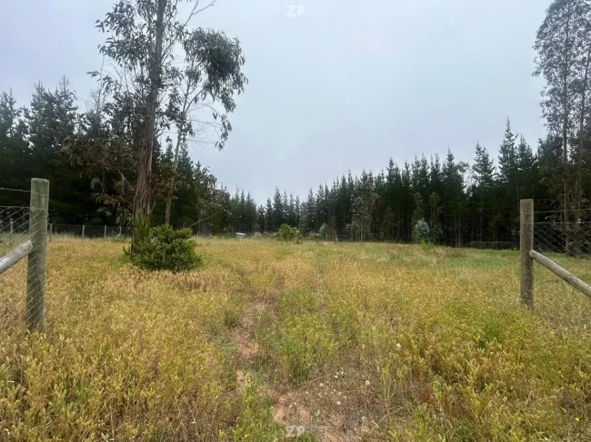 Foto 2 de la propiedad