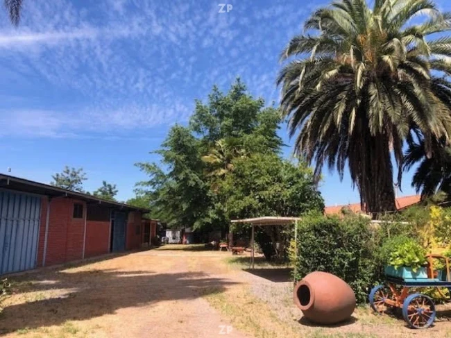 Hermosa Parcela de 4 hectáreas con Casa cuidador