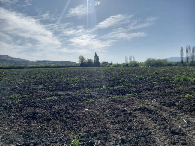 Venta de Parcela sector Pencahue Abajo