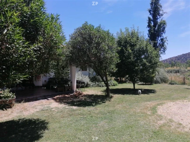 Parcela con árboles frutales