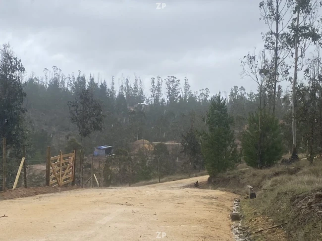 Parcela ubicada en el sector La Palmilla