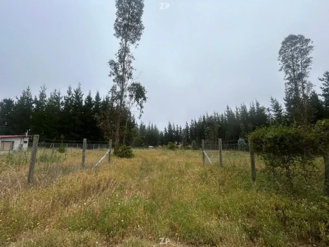 EXCLUSIVA PARCELA EN LOMAS DE PICHILEMU