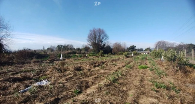 Parcela en Terreno Monte Lorenzo
