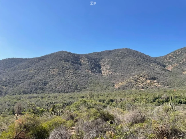 Parcela de 19.900 mts2. a 25 minutos de Rancagua