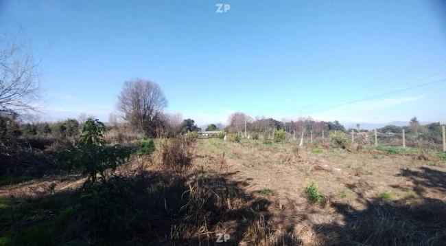 Parcela en Terreno Monte Lorenzo