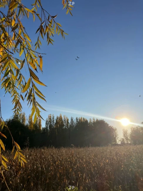 Foto 2 de la propiedad