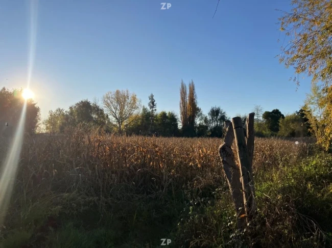 Se vende Parcela uso agricola con acción de agua