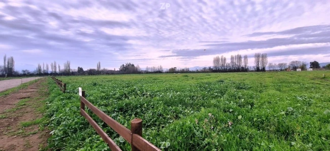Parcela centro de El Olivar con muy buena