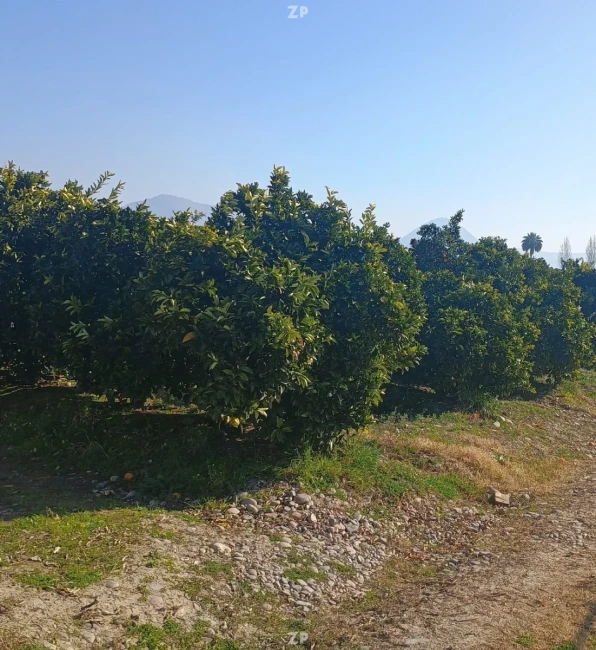 Vende parcela de 1,9 hás con aproximadamente