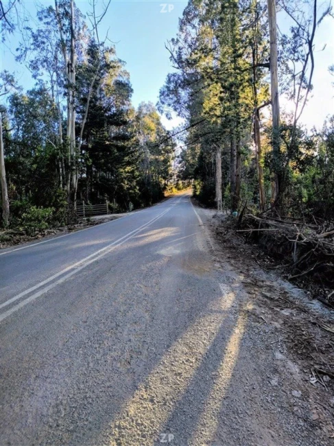  parcelas en el sector de los Ciruelos, Pichilemu