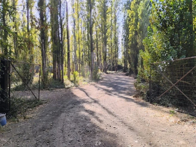 Parcela d 5000m², sector Tunca, Camino Los Reyes