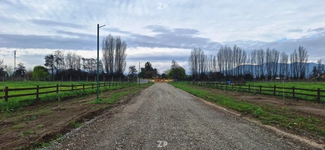 Parcela centro de El Olivar con muy buena