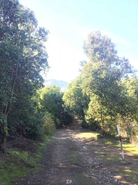 Parcela de 19.900 mts2. a 25 minutos de Rancagua