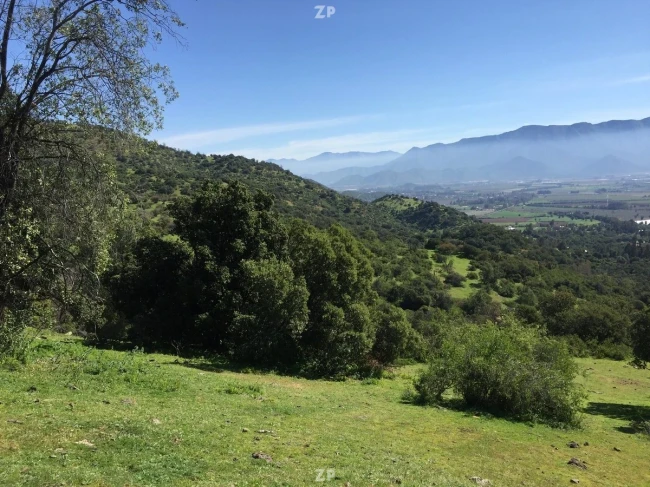 Parcela de 19.900 mts2. a 25 minutos de Rancagua