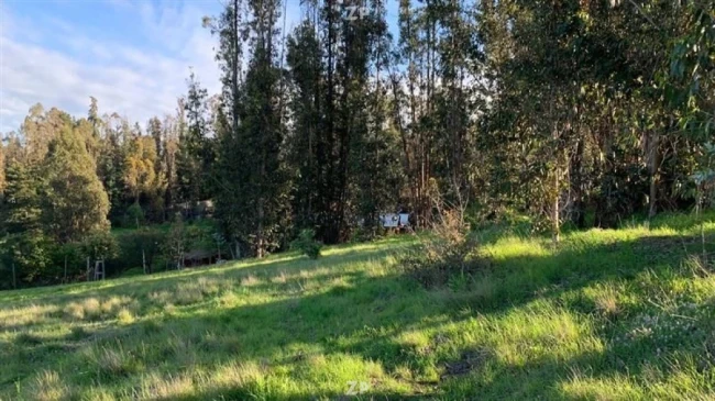 Se vende sitio 2.086 m²