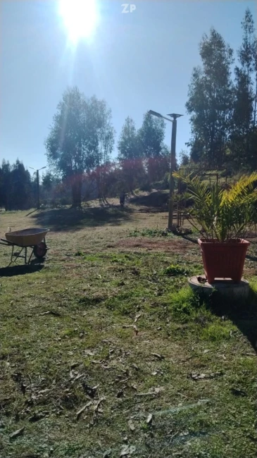 Foto 2 de la propiedad