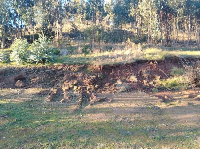 Foto 3 de la propiedad