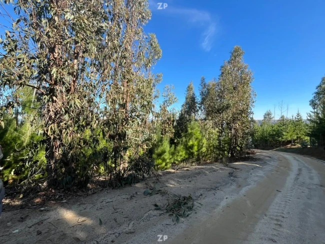 Venta Parcela En Litueche con Rol propio