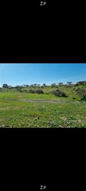 Parcela en Altos de la Estrella