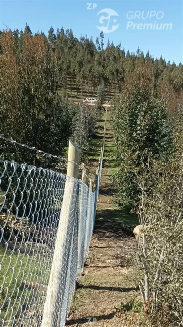  espectacular parcela en La Estrella!