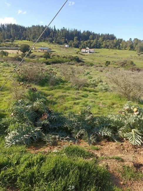 Parcela ubicada en Condominio Brisas de Manantial